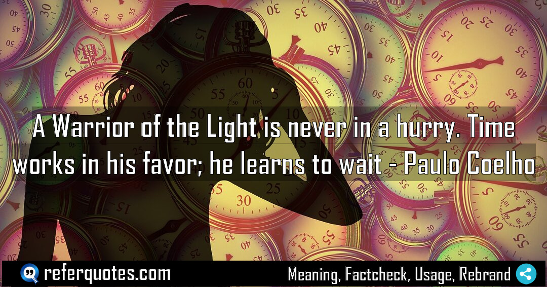 A Warrior of the Light is never in Meaning Factcheck Usage