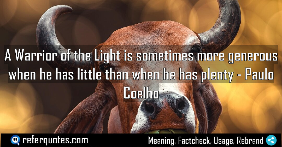 A Warrior of the Light is sometimes more Meaning Factcheck Usage