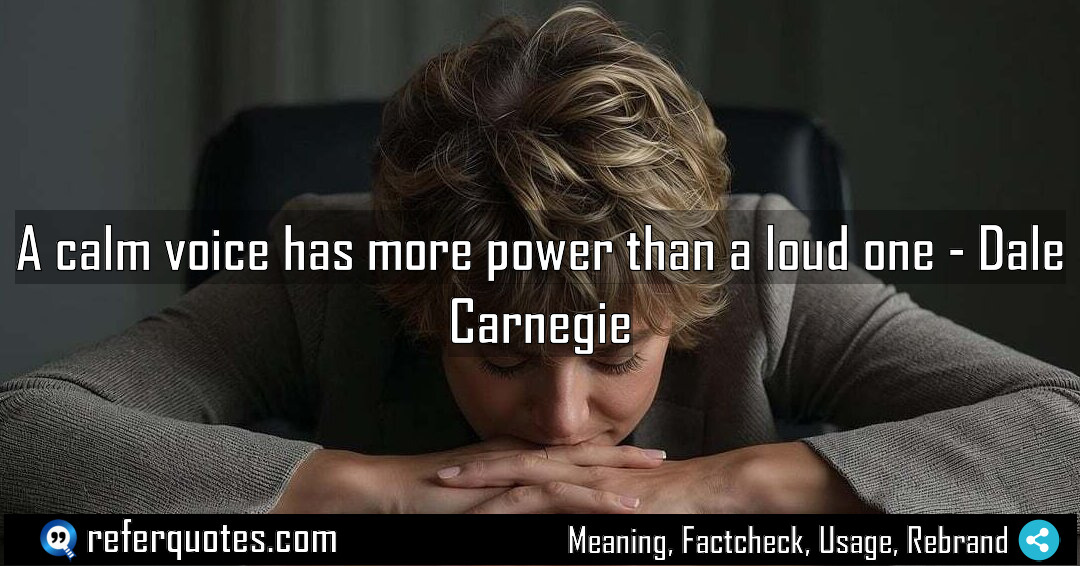 A calm voice has more power than a Meaning Factcheck Usage
