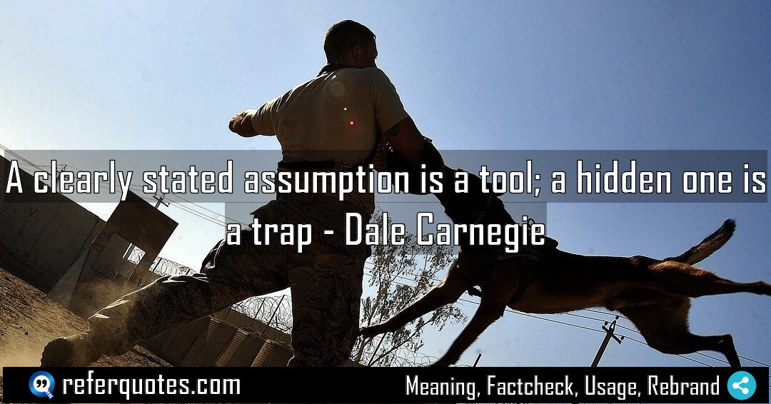 A clearly stated assumption is a tool a Meaning Factcheck Usage