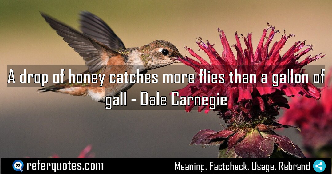 A drop of honey catches more flies than Meaning Factcheck Usage