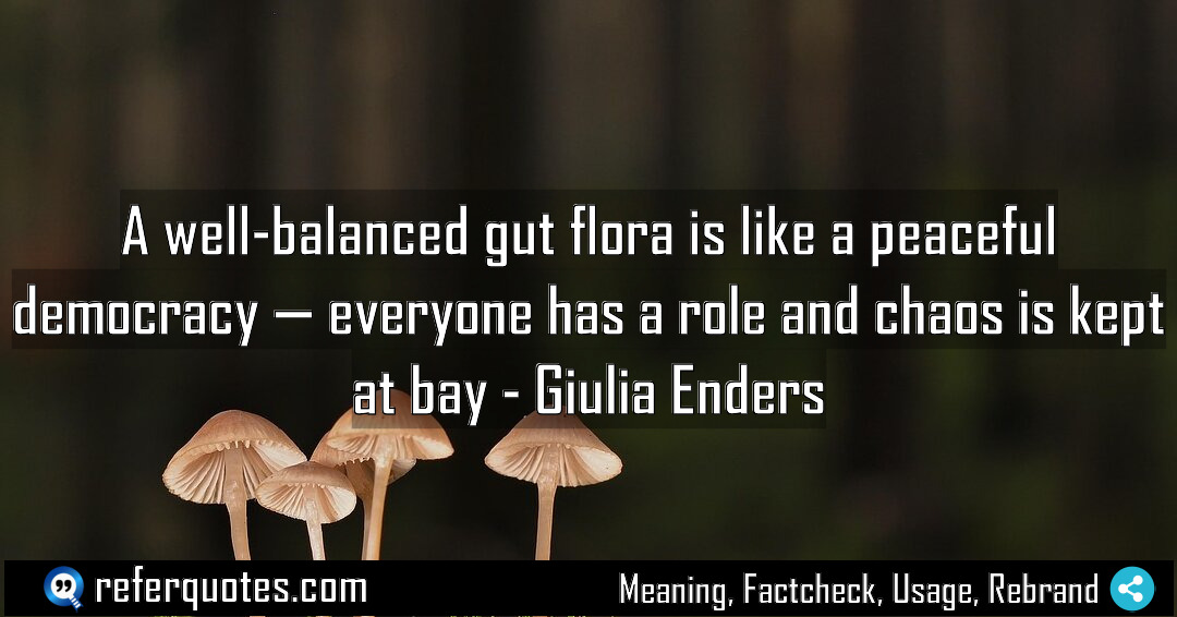 A well balanced gut flora is like a Meaning Factcheck Usage