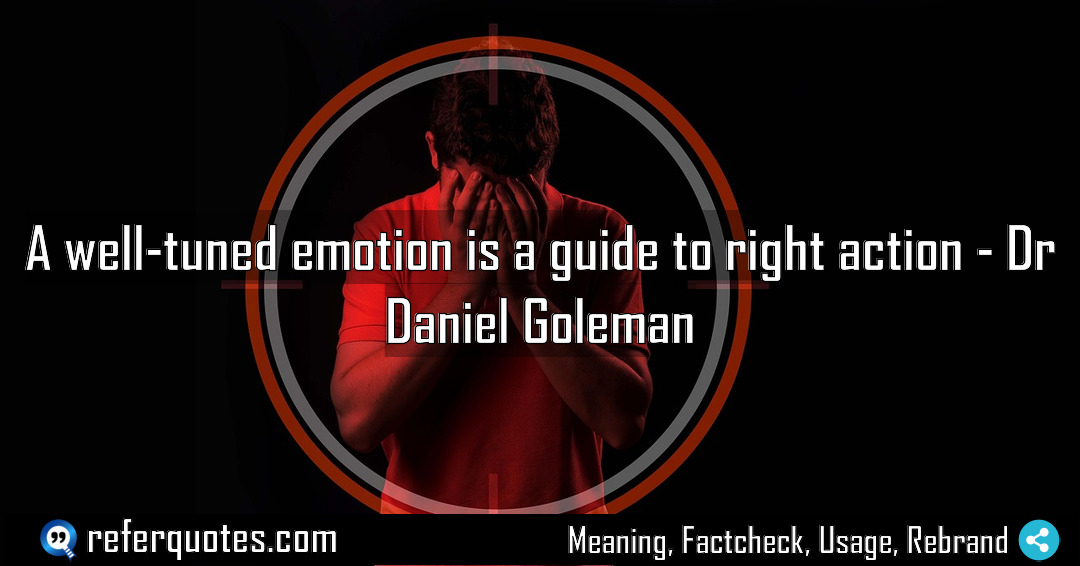 A well tuned emotion is a guide to Meaning Factcheck Usage