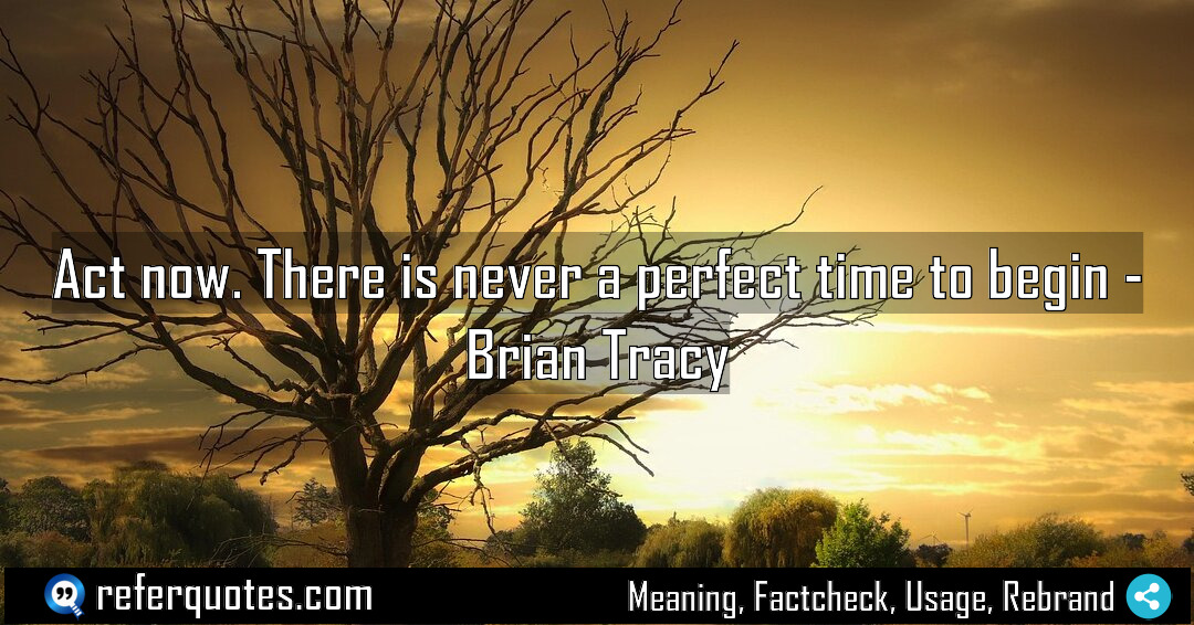 Act now There is never a perfect time Meaning Factcheck Usage