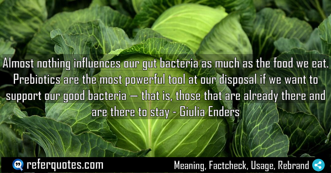 Almost nothing influences our gut bacteria as much Meaning Factcheck Usage