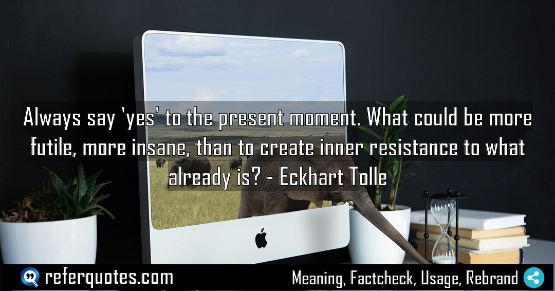 Always say yes to the present moment What Meaning Factcheck Usage