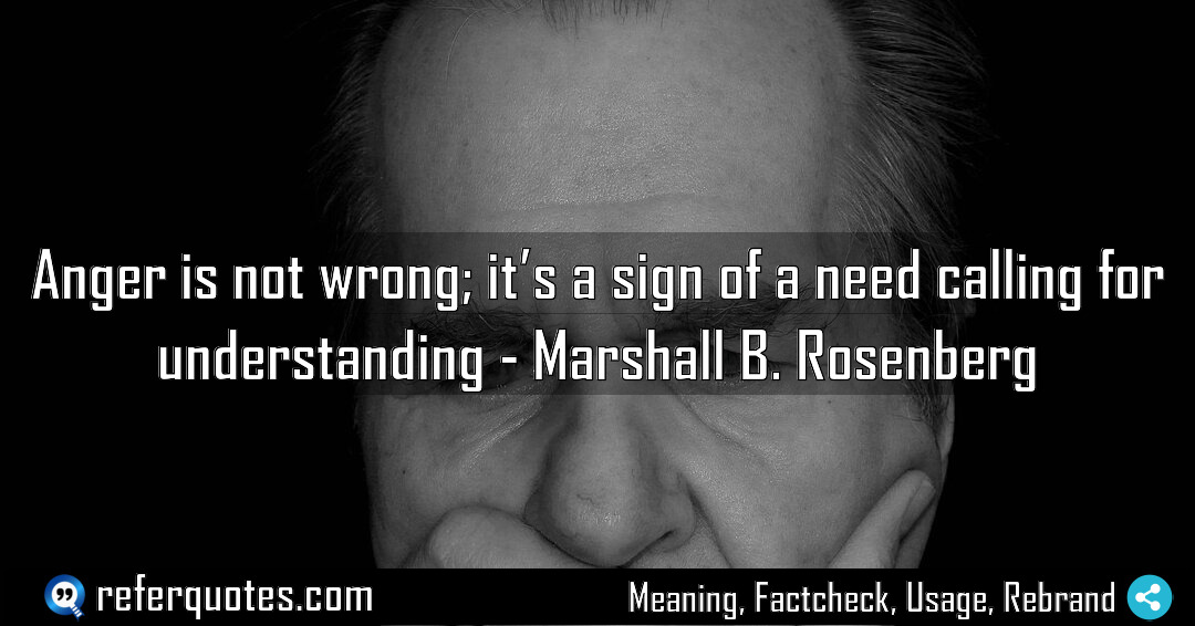 Anger is not wrong it s a sign Meaning Factcheck Usage