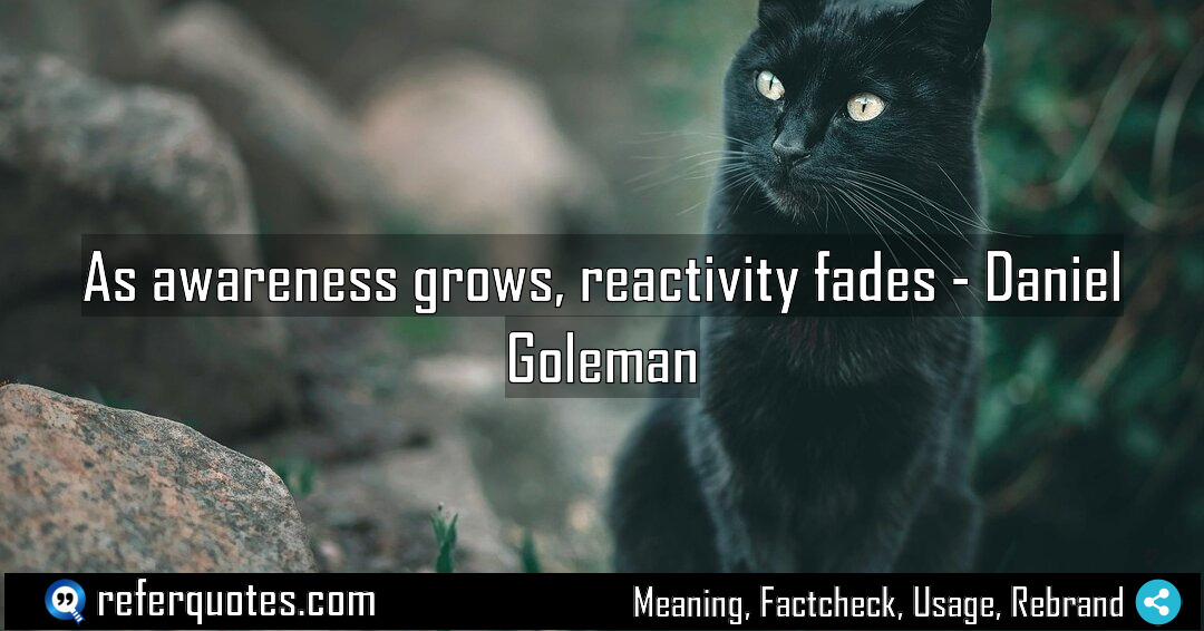 As awareness grows reactivity fades Meaning Factcheck Usage