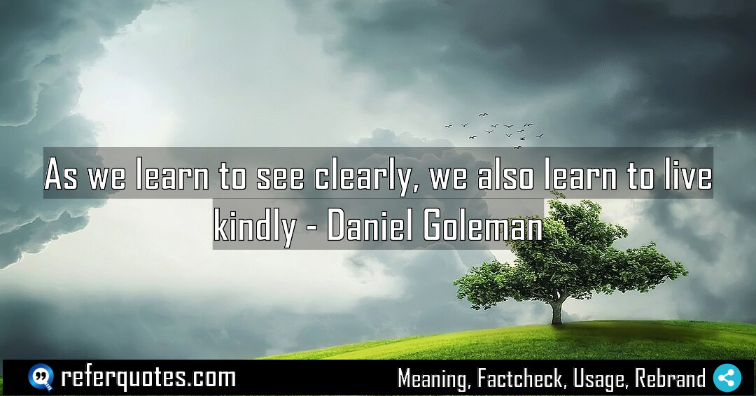 As we learn to see clearly we also Meaning Factcheck Usage