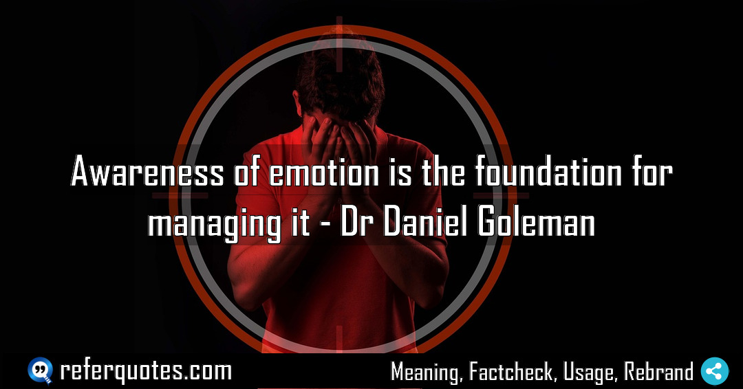 Awareness of emotion is the foundation for managing Meaning Factcheck Usage
