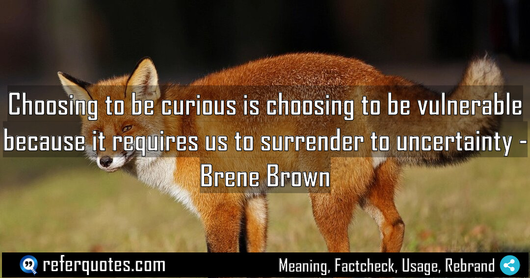 Choosing to be curious is choosing to be Meaning Factcheck Usage