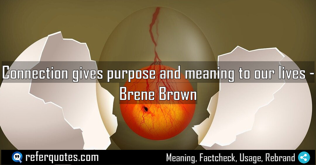 Connection gives purpose and meaning to our lives Meaning Factcheck Usage