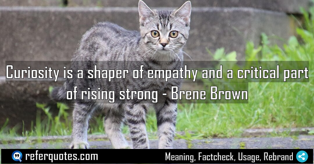 Curiosity is a shaper of empathy and a Meaning Factcheck Usage