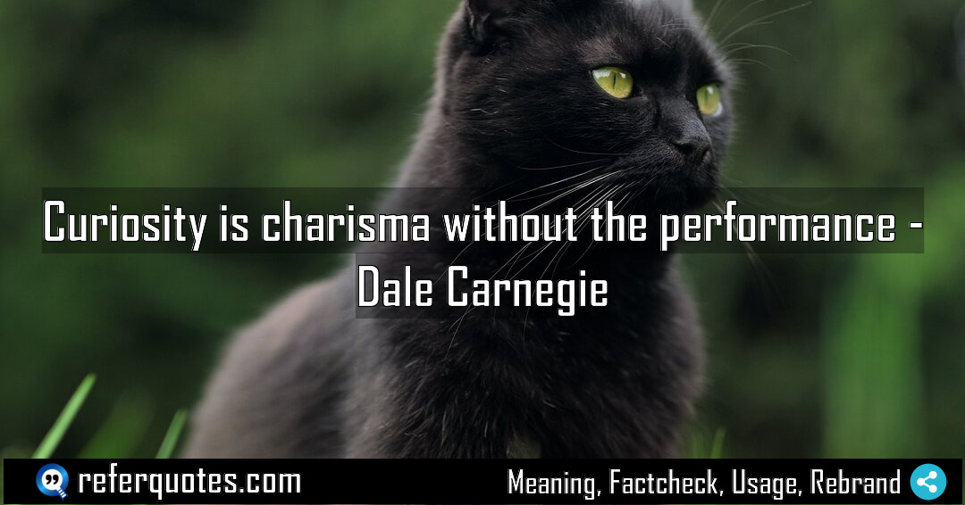 Curiosity is charisma without the performance Meaning Factcheck Usage