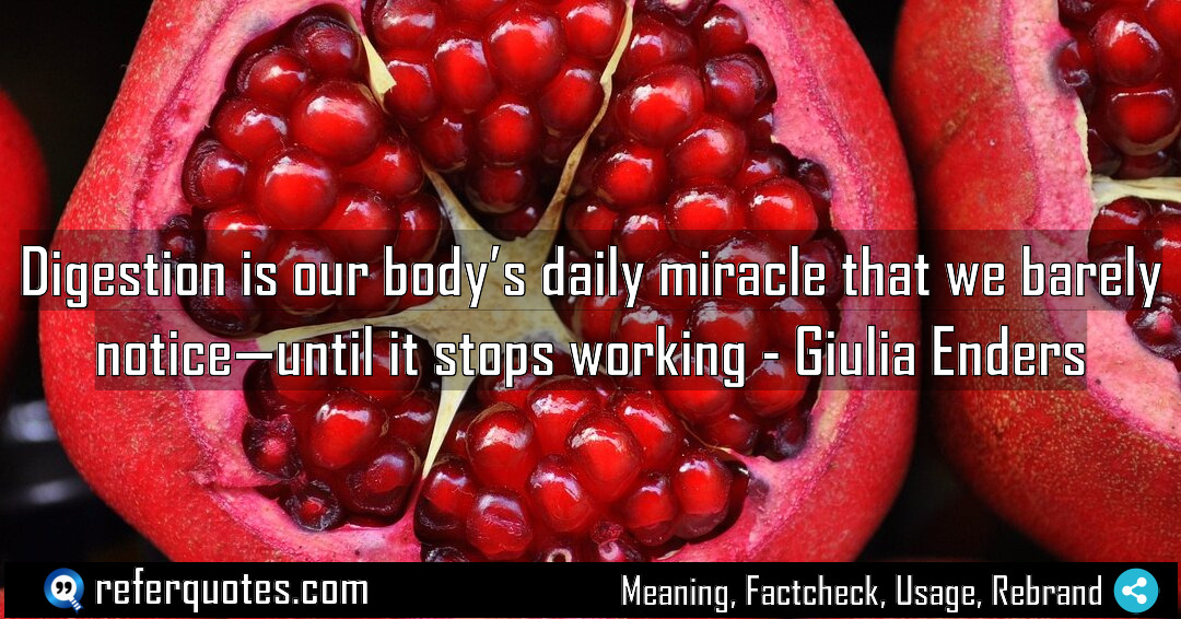 Digestion is our body s daily miracle that Meaning Factcheck Usage