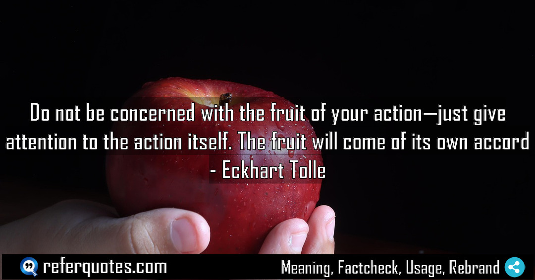 Do not be concerned with the fruit of Meaning Factcheck Usage