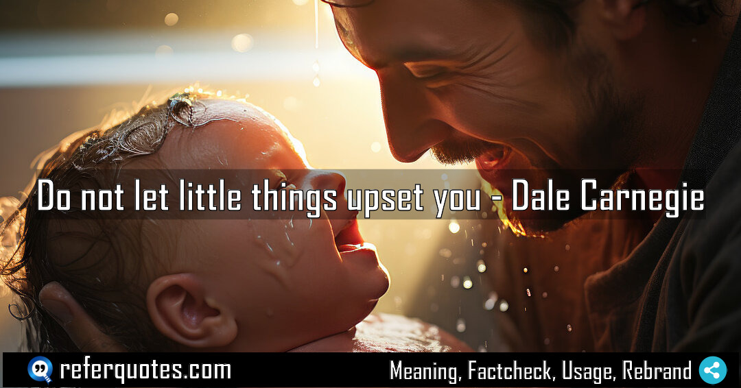 Do not let little things upset you Meaning Factcheck Usage
