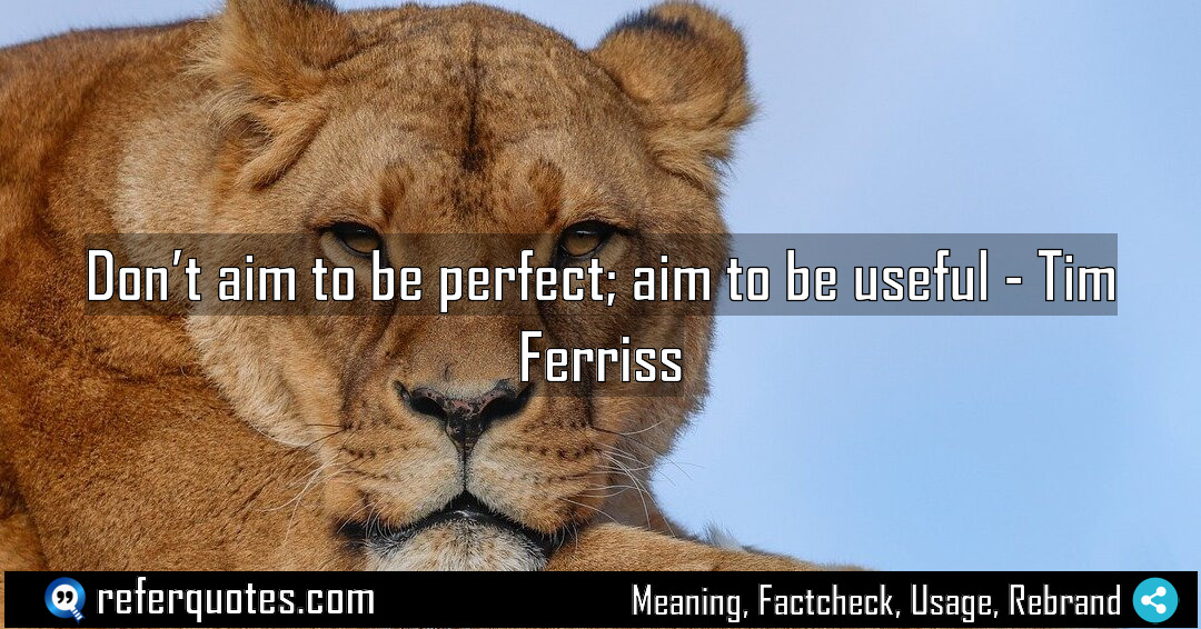 Don t aim to be perfect aim to Meaning Factcheck Usage