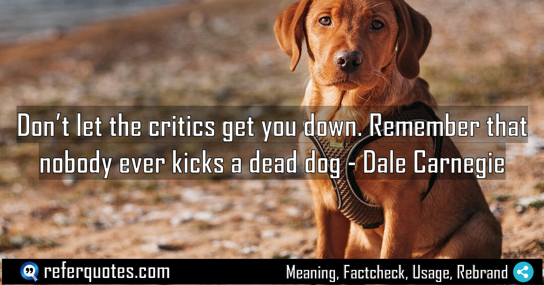 Don t let the critics get you down Meaning Factcheck Usage