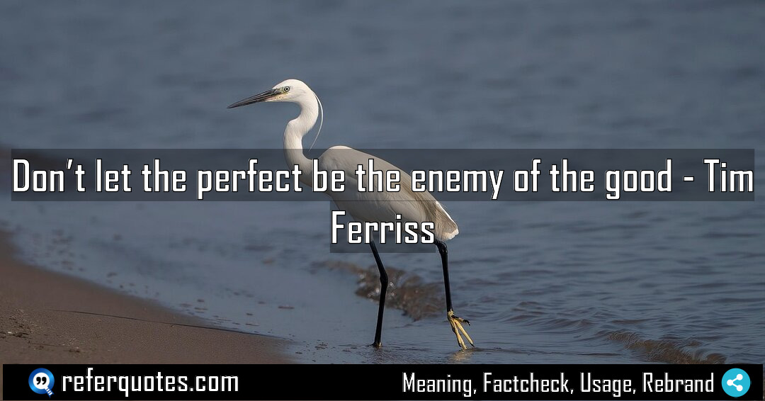 Don t let the perfect be the enemy Meaning Factcheck Usage
