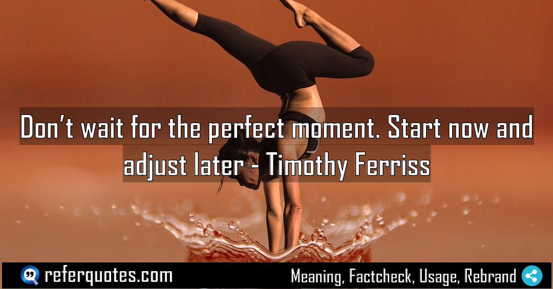 Don t wait for the perfect moment Start Meaning Factcheck Usage