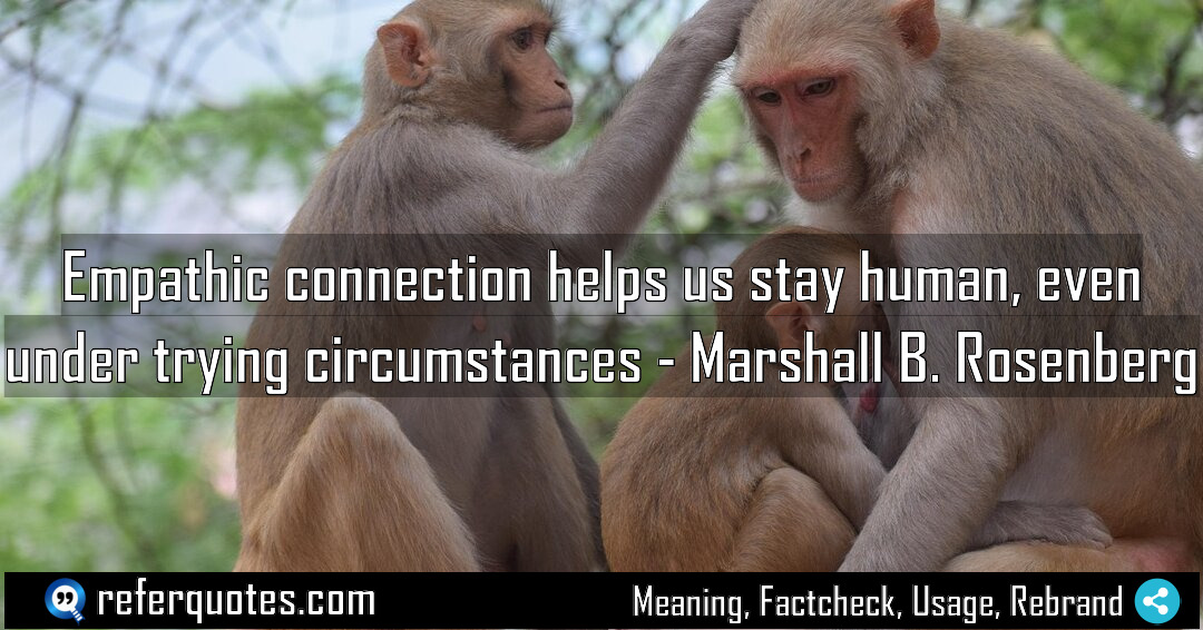 Empathic connection helps us stay human even under Meaning Factcheck Usage