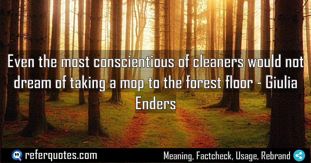 Even the most conscientious of cleaners would not Meaning Factcheck Usage