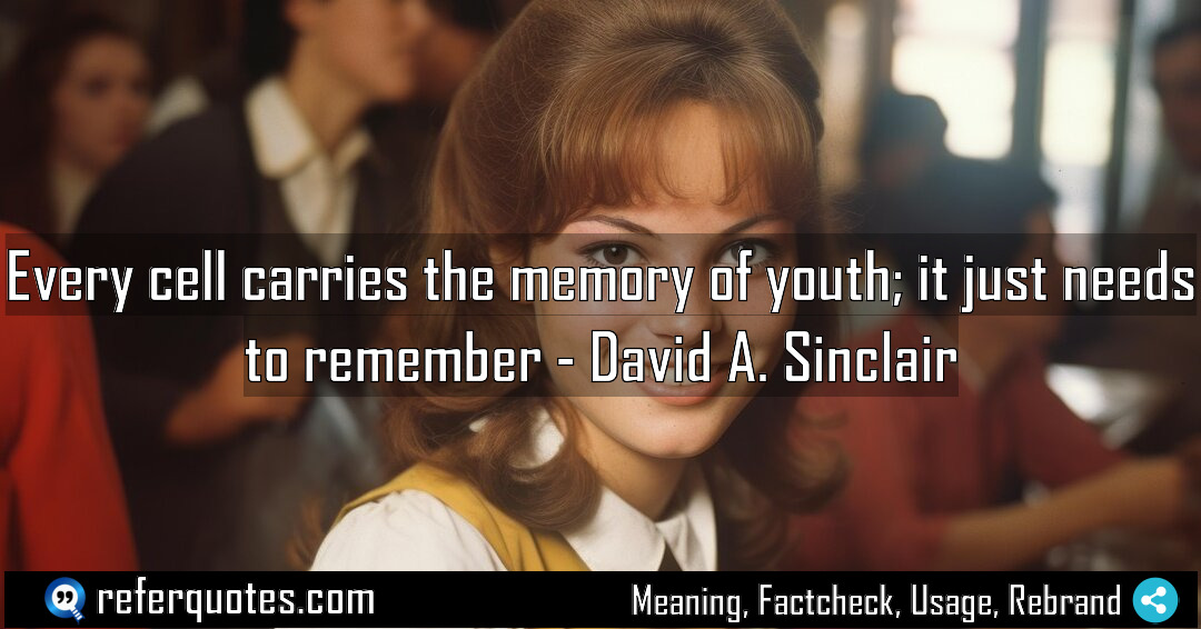 Every cell carries the memory of youth it Meaning Factcheck Usage