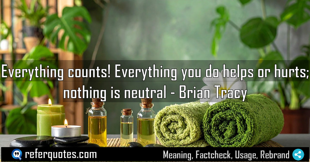 Everything counts Everything you do helps or hurts Meaning Factcheck Usage