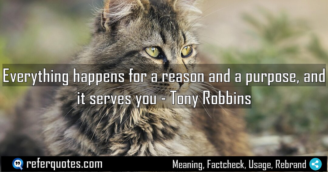 Everything happens for a reason and a purpose Meaning Factcheck Usage