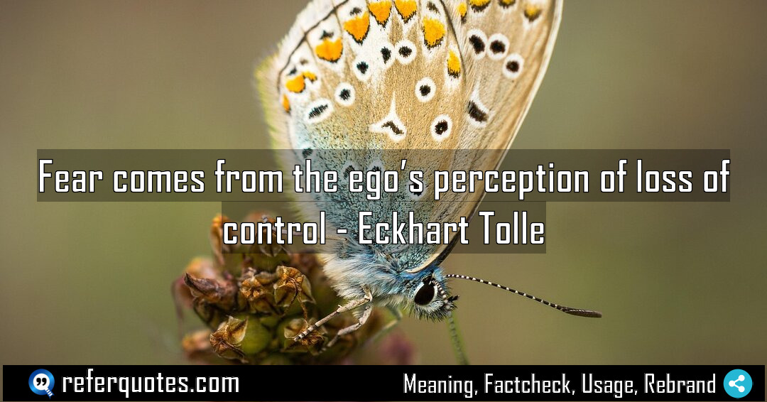 Fear comes from the ego s perception of Meaning Factcheck Usage