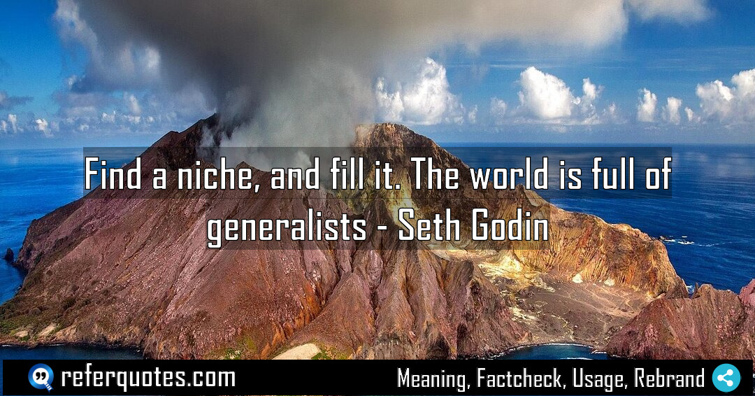 Find a niche and fill it The world Meaning Factcheck Usage