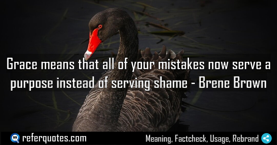 Grace means that all of your mistakes now Meaning Factcheck Usage