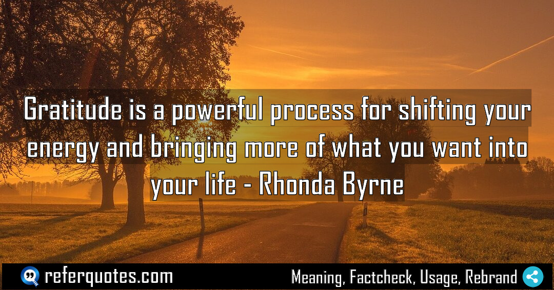 Gratitude is a powerful process for shifting your Meaning Factcheck Usage