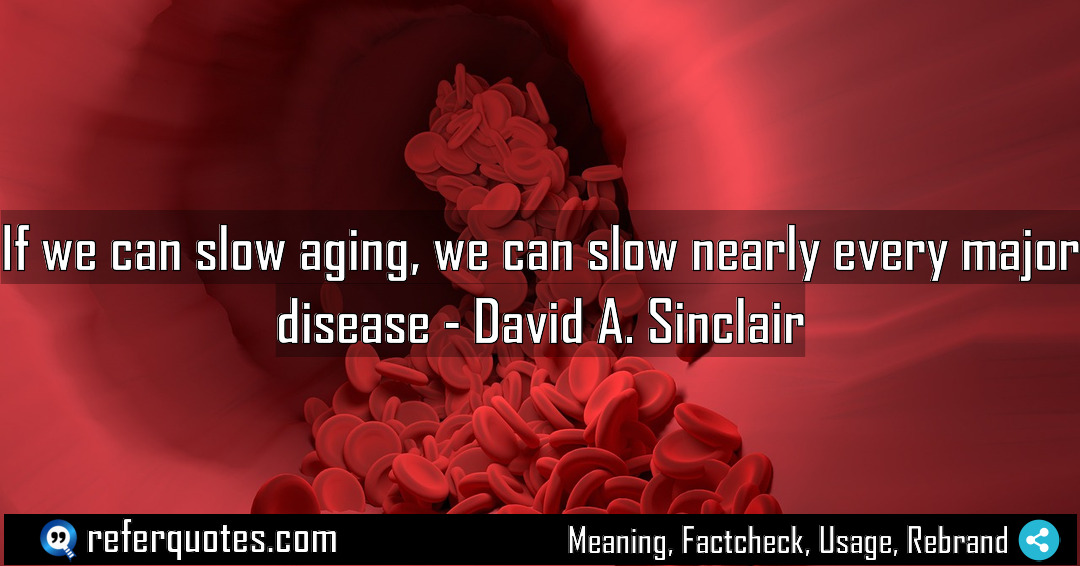 If we can slow aging we can slow Meaning Factcheck Usage