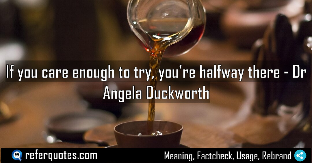 If you care enough to try you re Meaning Factcheck Usage