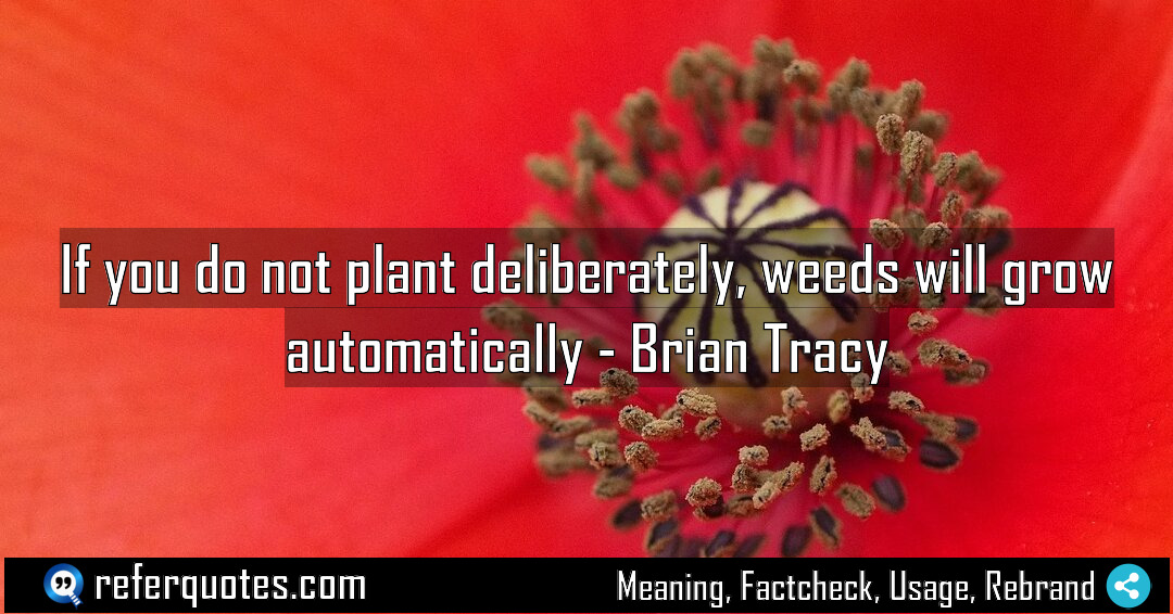 If you do not plant deliberately weeds will Meaning Factcheck Usage