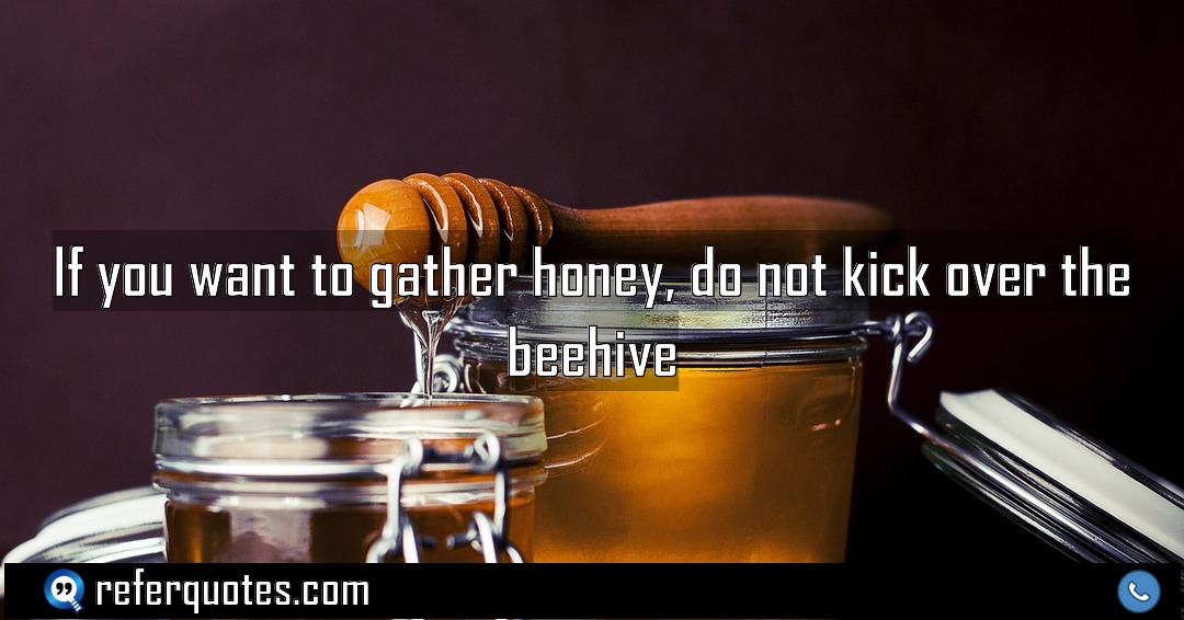 If you want to gather honey do not Meaning Factcheck Usage