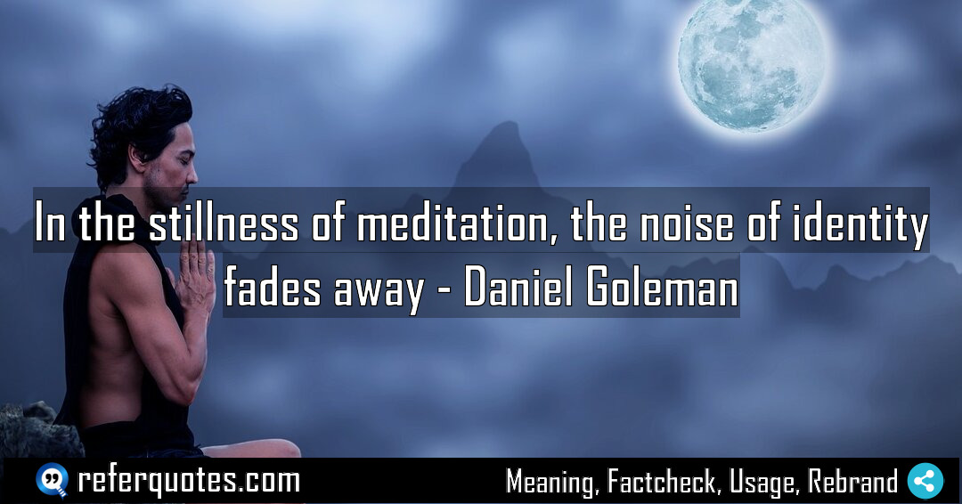 In the stillness of meditation the noise of Meaning Factcheck Usage