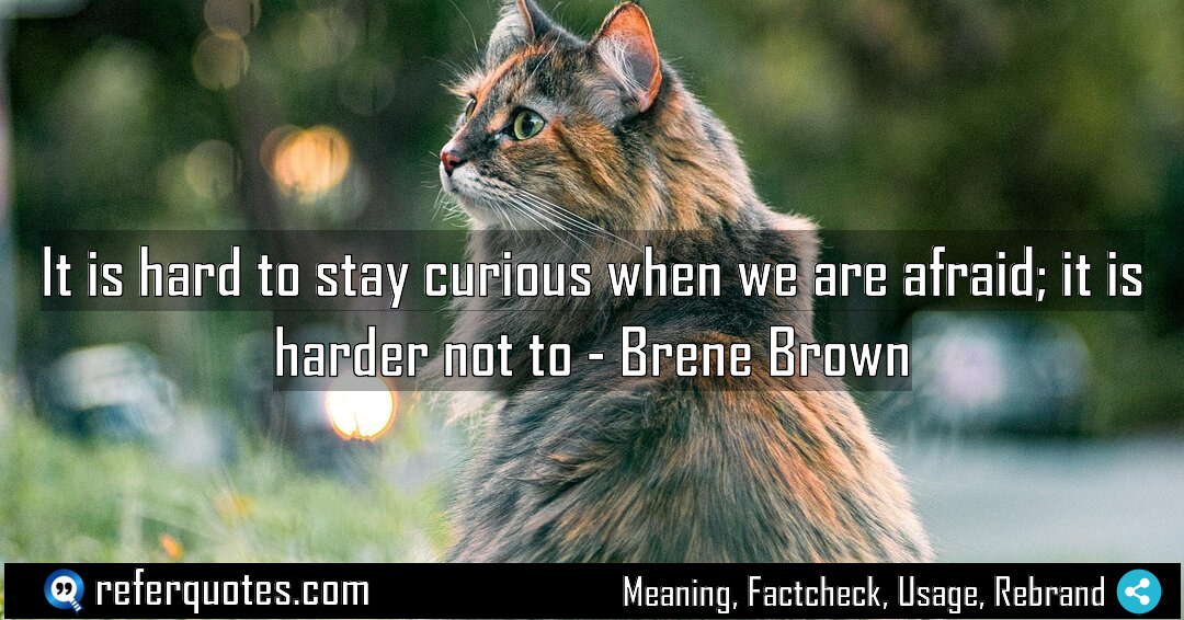 It is hard to stay curious when we Meaning Factcheck Usage