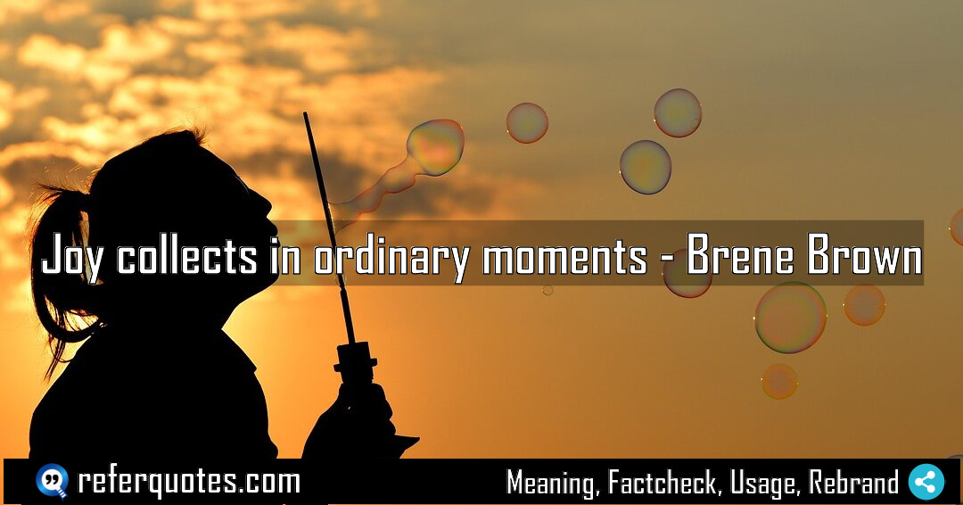 Joy collects in ordinary moments Meaning Factcheck Usage