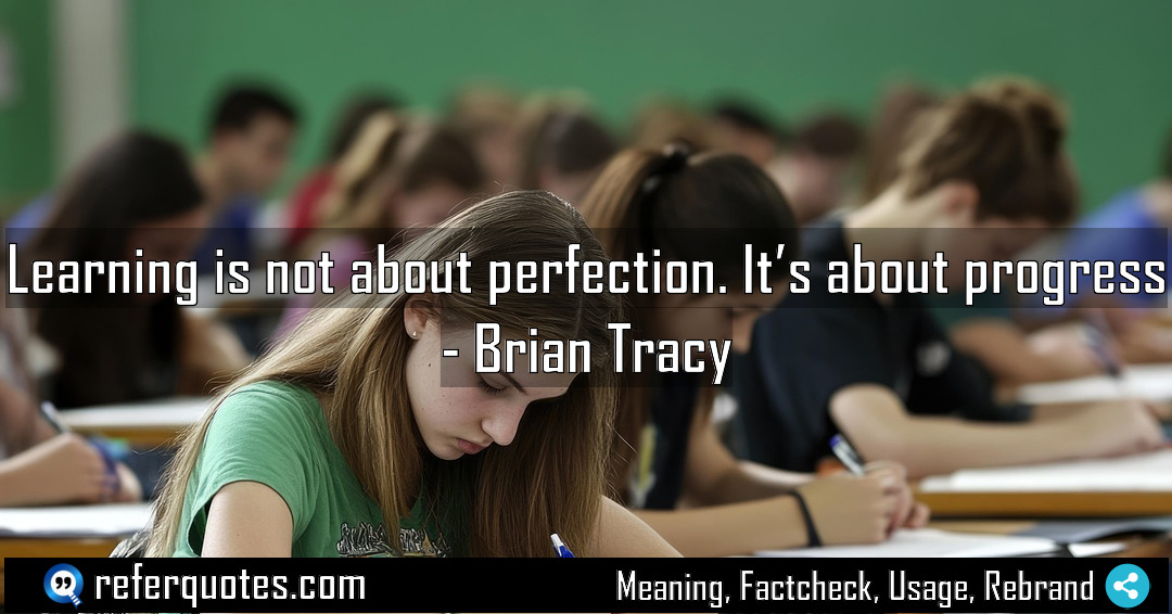 Learning is not about perfection It s about Meaning Factcheck Usage