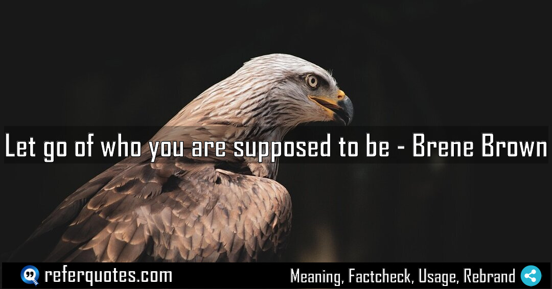 Let go of who you are supposed to Meaning Factcheck Usage