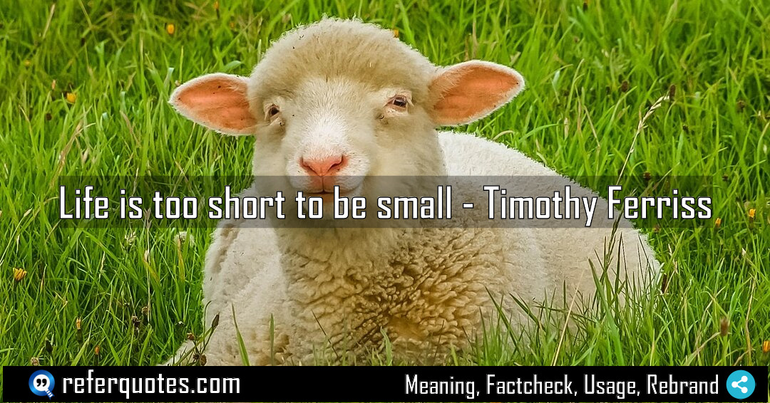 Life is too short to be small Meaning Factcheck Usage