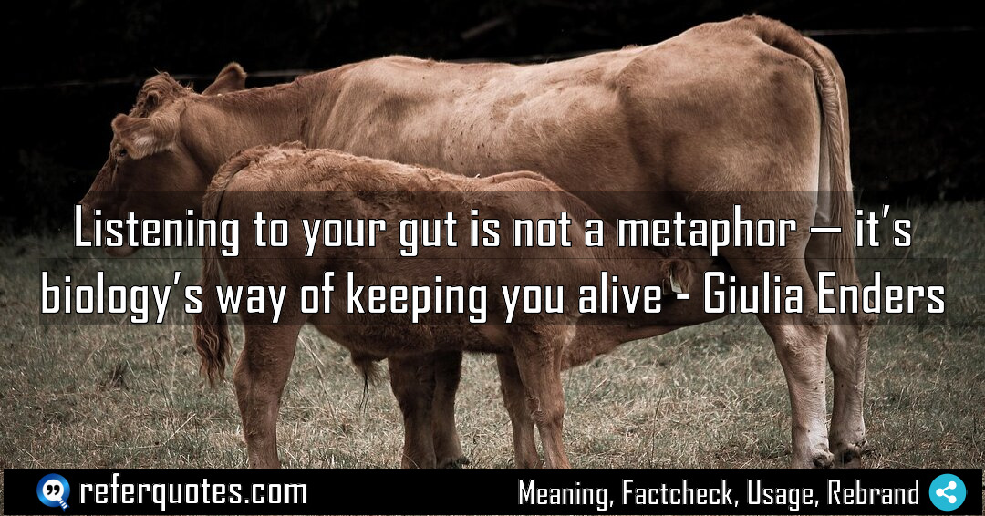 Listening to your gut is not a metaphor Meaning Factcheck Usage