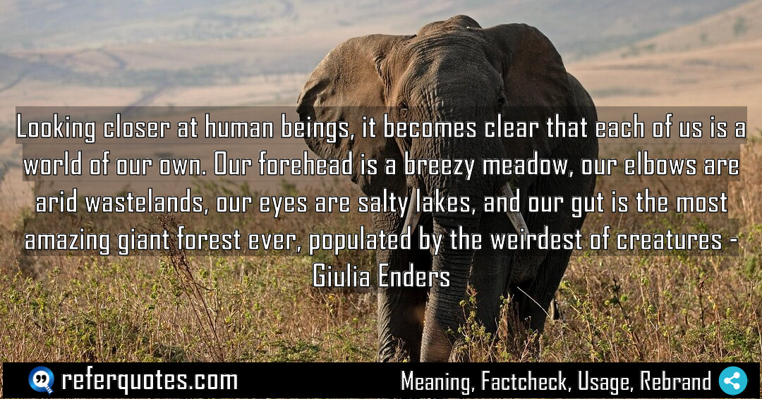 Looking closer at human beings it becomes clear Meaning Factcheck Usage
