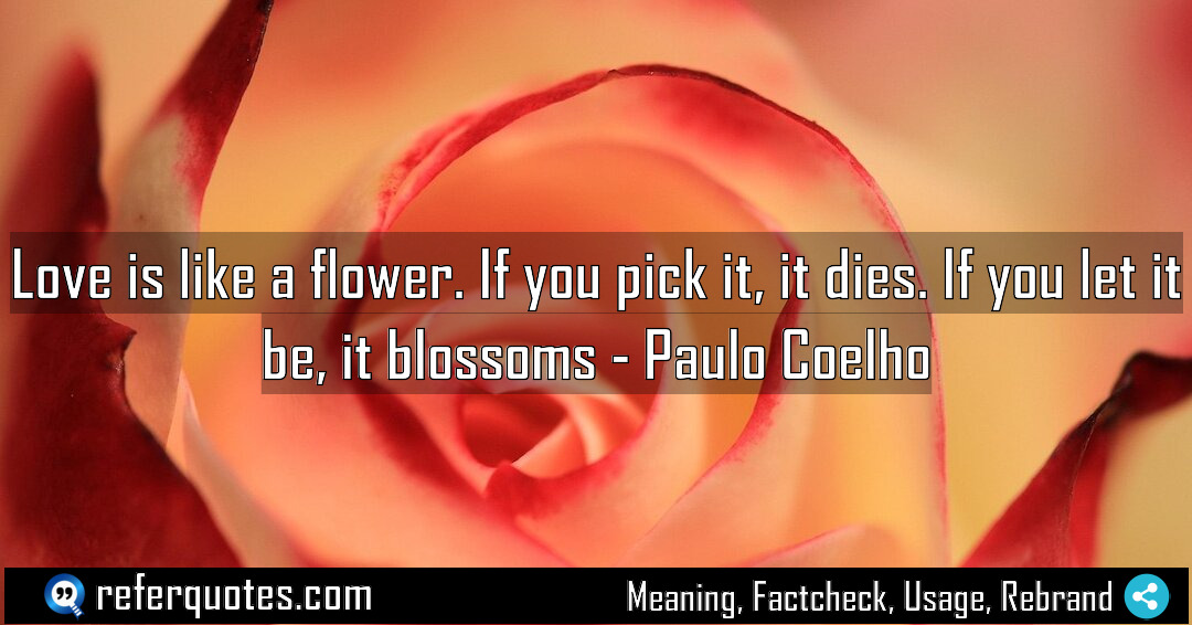 Love is like a flower If you pick Meaning Factcheck Usage