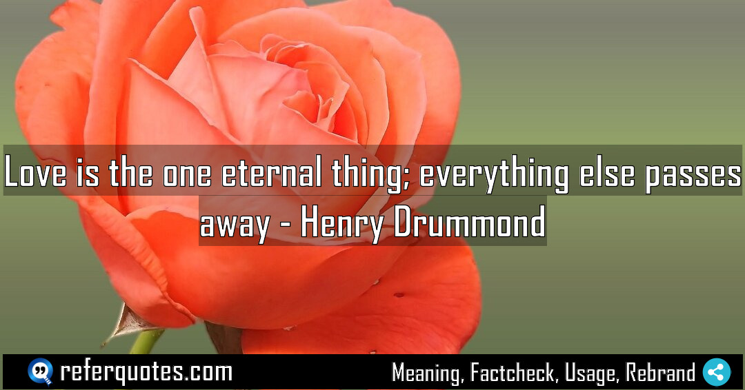 Love is the one eternal thing everything else Meaning Factcheck Usage