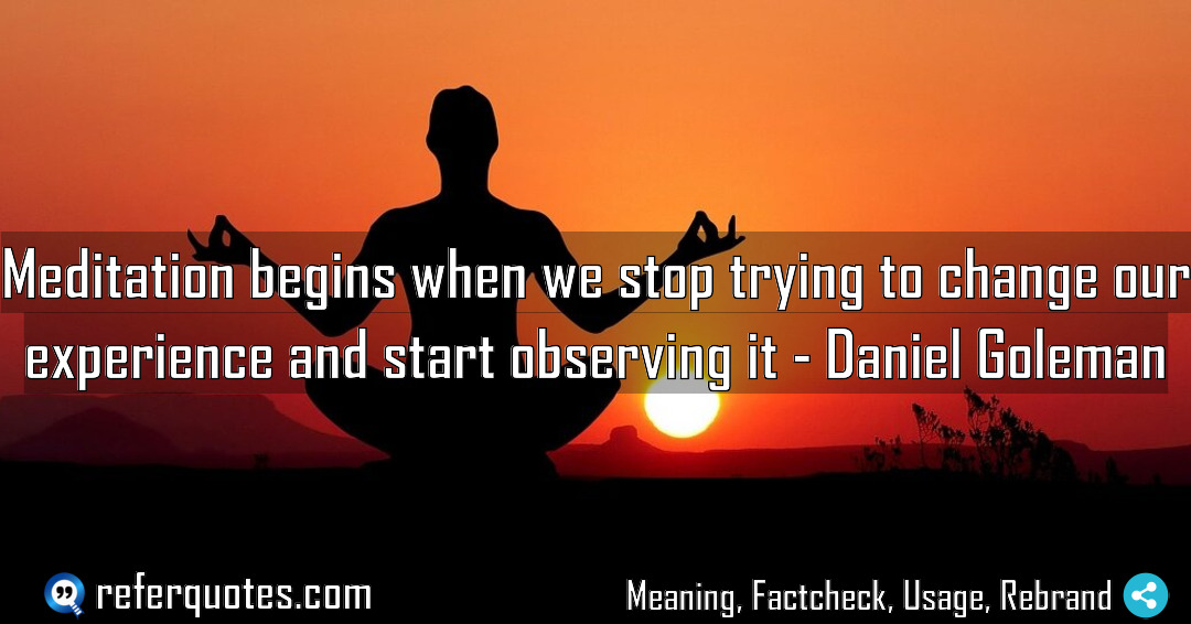 Meditation begins when we stop trying to change Meaning Factcheck Usage