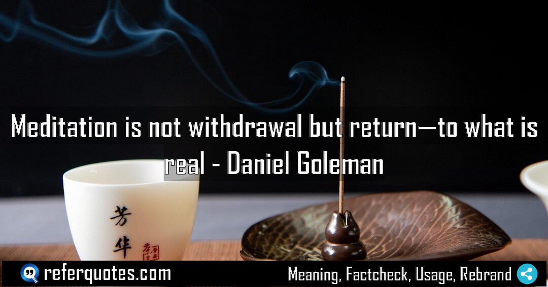 Meditation is not withdrawal but return to what Meaning Factcheck Usage